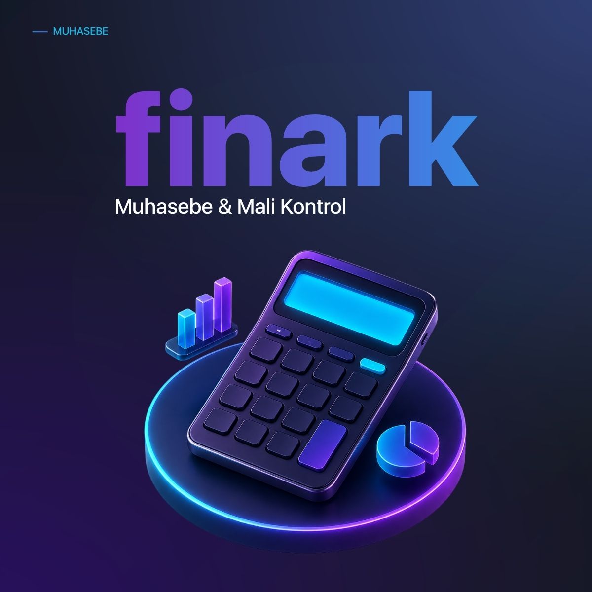 finark · Muhasebe & Mali Kontrol