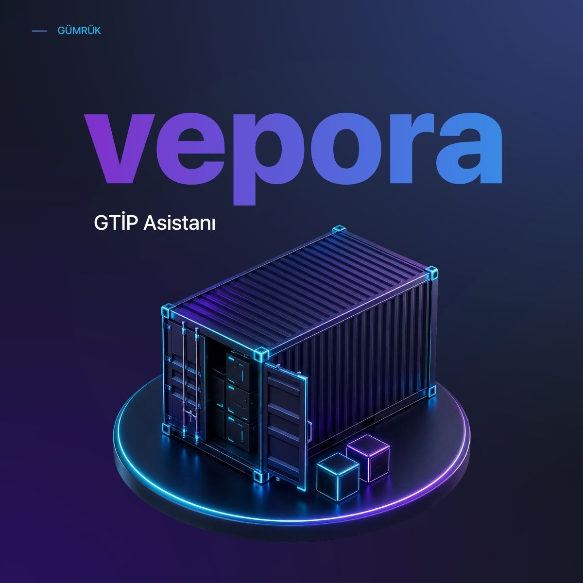 vepora · GTİP Asistanı